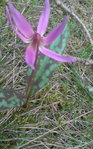DSC00004.JPG