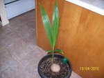 100_1461.JPG