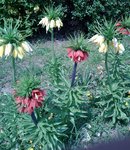 Photo0156-ter.jpg
