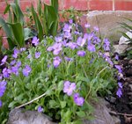 DSCN9441.JPG