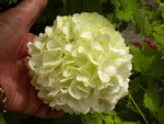 DSCN0719.JPG