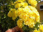DSCN0701.JPG
