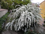 DSCN0716.JPG