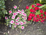 DSCN0711.JPG
