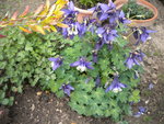 DSCN0715.JPG