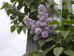 DSCN0714.JPG
