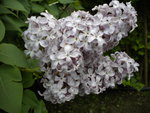 DSCN0713.JPG