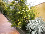 DSCN0706.JPG