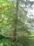 DSC04830.JPG