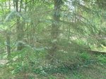 DSC04831.JPG