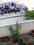 img_1566.jpg