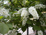 DSCN0709.JPG
