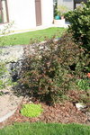 IMG_1851 small.JPG