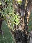 Capt_100427_083439_001.jpg