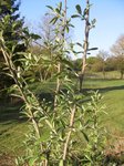 Capt_100427_083412_001.jpg