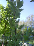 DSC04352.jpg