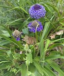 26042010014_2.JPG