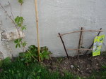 DSC00546.JPG