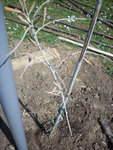 DSCN3831.jpg