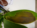 P1010145.JPG