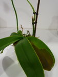 P1010147.JPG