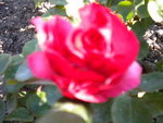 DSCN0676.JPG