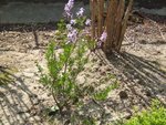 DSCF5310.JPG