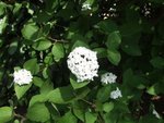 DSCF5315.JPG