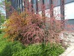 DSCF5316.JPG