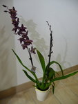 P1010150.JPG