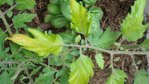 DSC00060.JPG