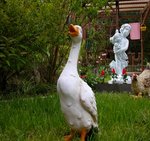 DSCN9625.JPG