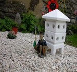 DSCN9626.JPG