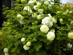 DSCN0712.JPG