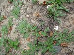 DSCF2801.jpg