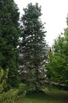 IMG_2668_very_small.jpg