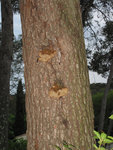 'Alep_IMG_4876.jpg