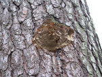 'Alep_IMG_4880.jpg