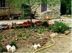 façade.jpg