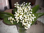 DSCN0720.JPG