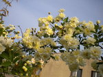 DSCN0733.JPG