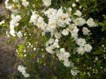 DSCN0734.JPG