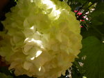 DSCN0736.JPG