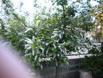 DSCN0745.JPG