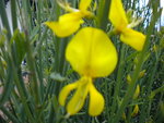DSCN0747.JPG