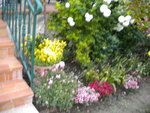 DSCN0749.JPG