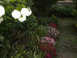DSCN0750.JPG