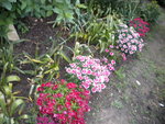 DSCN0751.JPG