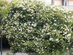 DSCN0760.JPG