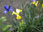 DSCN0767.JPG